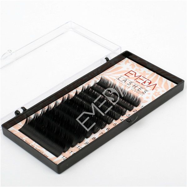 Extension of Eyelashes EL39